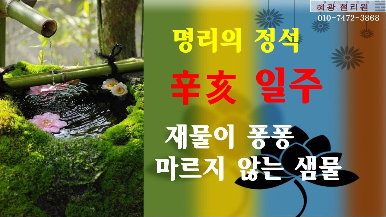 #일주론-辛亥일주(재물이 퐁퐁 마르지 않는 샘물)