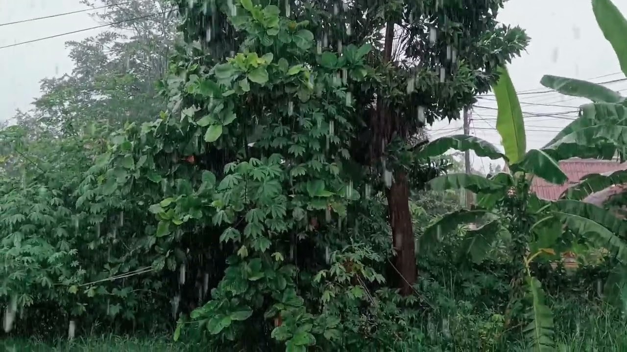 Raining Reraxing Sleeping Well