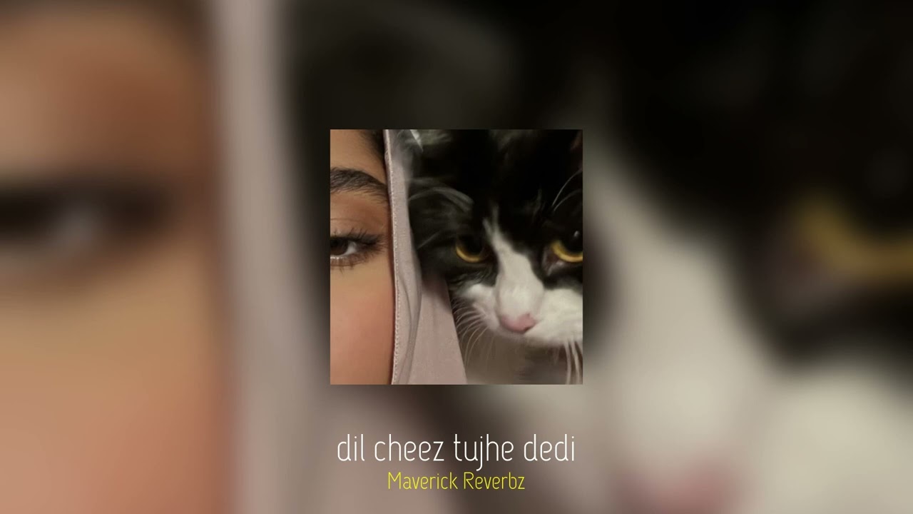Dil Cheez Tujhe Dedi (Sped Up by MVK)