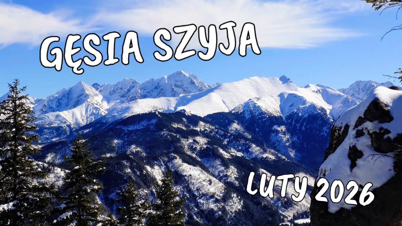 GĘSIA SZYJA ZIMĄ [TATRY]