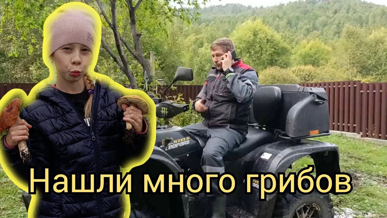 За грибами к Байкалу на STELS LEOPARD 600Y. То, что случилось в конце, мы не ожидали. 