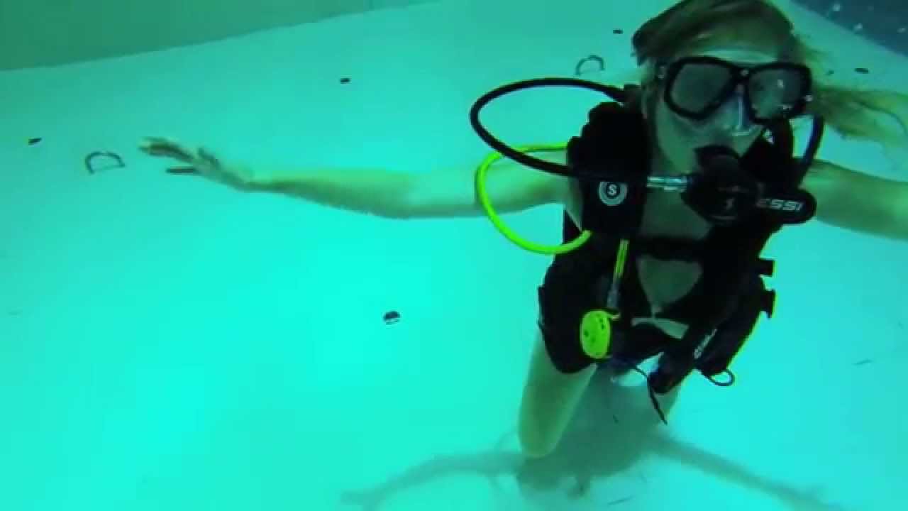 Nemo33
