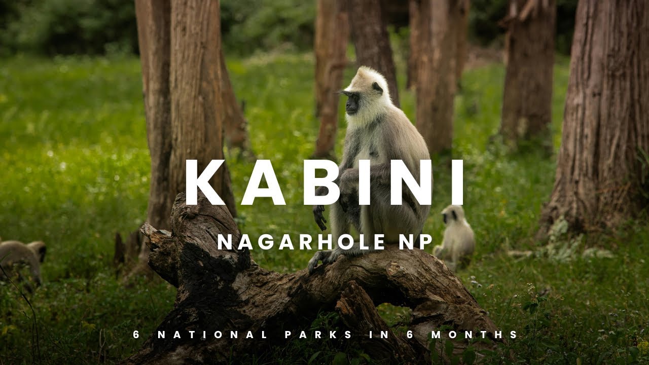 Wildelifer 6 in 6 | Kabini - Nagarhole National Park 