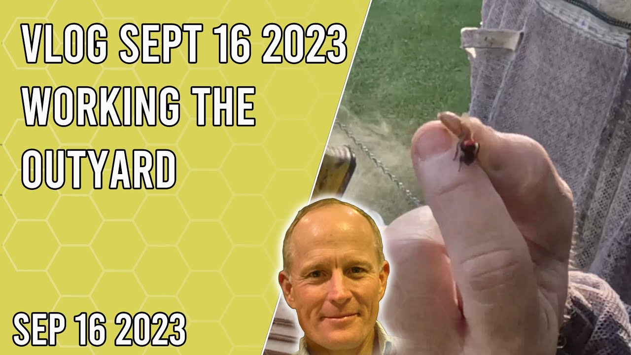Vlog Sept 19 2023 - Working the Out Yard - Jacksonville FL Zone 9a