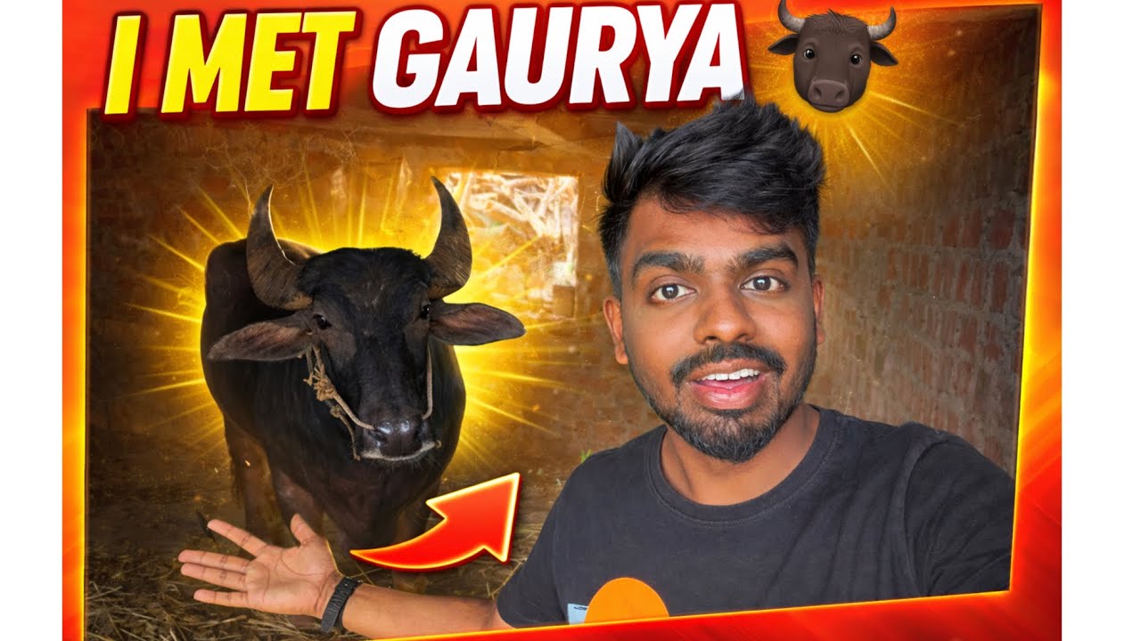 FINALLY I MET GAURYA 🐃🐃|| Keep supporting ||