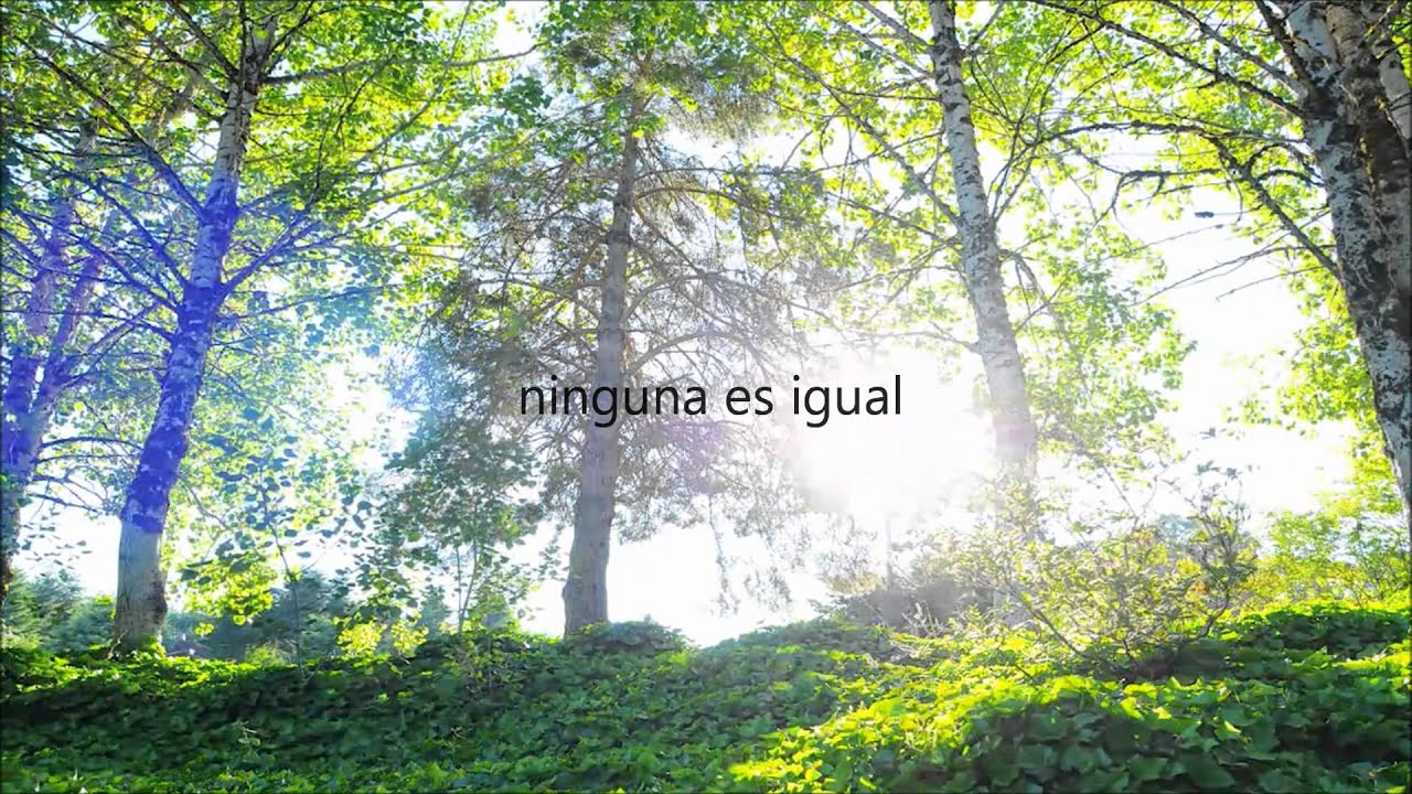 Grande eres Tu | Forgiven (Oficial) HD