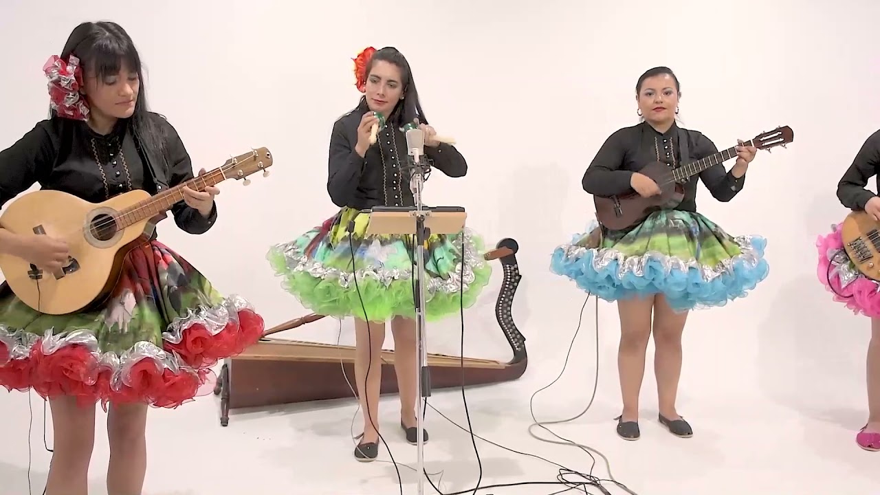 Bandola llanera -  Agrupación Guarura