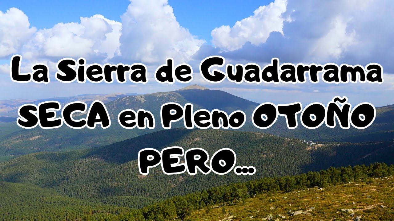 &iquest;Tendremos BOLETUS este OTO&Ntilde;O 2025 en la Sierra de GUADARRAMA?