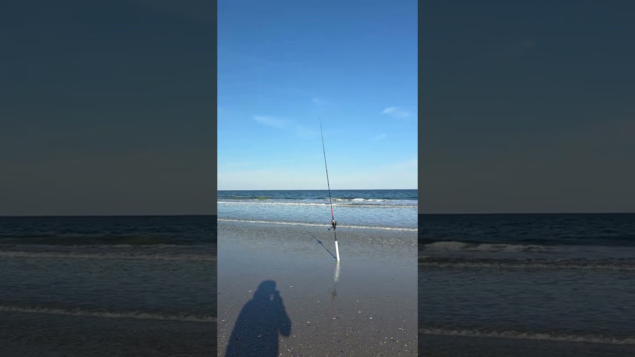 Little Talbot Island fishing surprise double hit.