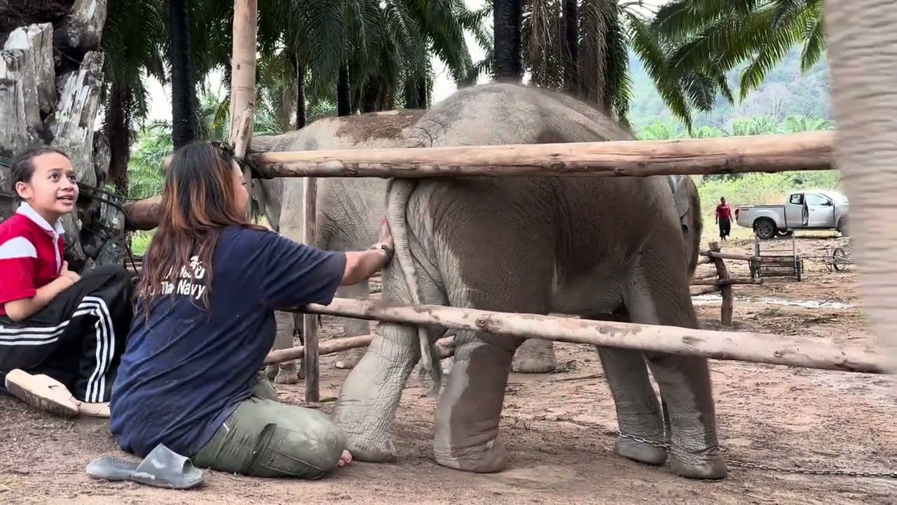 คุณแม๊‼️🤣หนึ่งถึงไหนถึงกัน