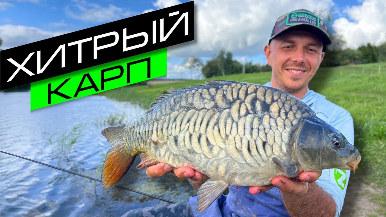 ЛОВЛЯ КАРПА НА ФИДЕР / ЛОВЛЯ КАРПА НА ФЛЭТ / FROS FISHING