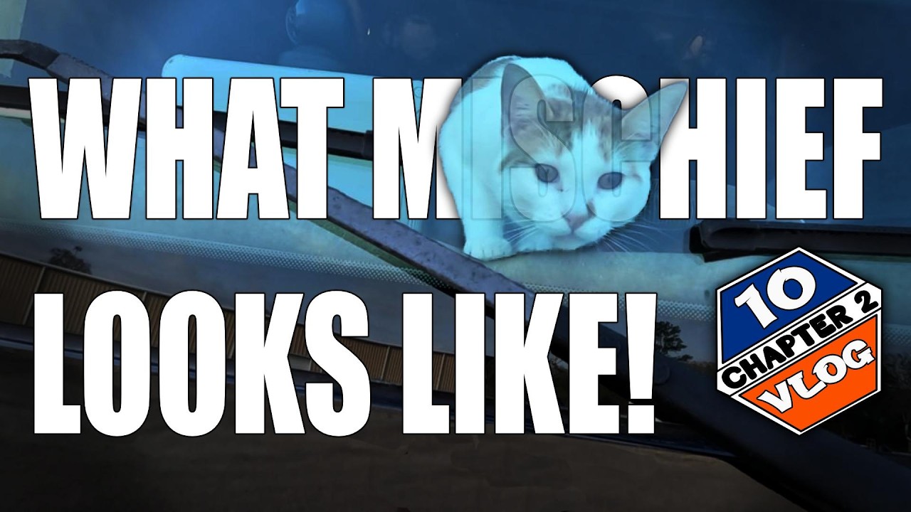 Chapter 2 VLOG 10: Cat Drama - Whats Franklin Doing on This Travel Day?