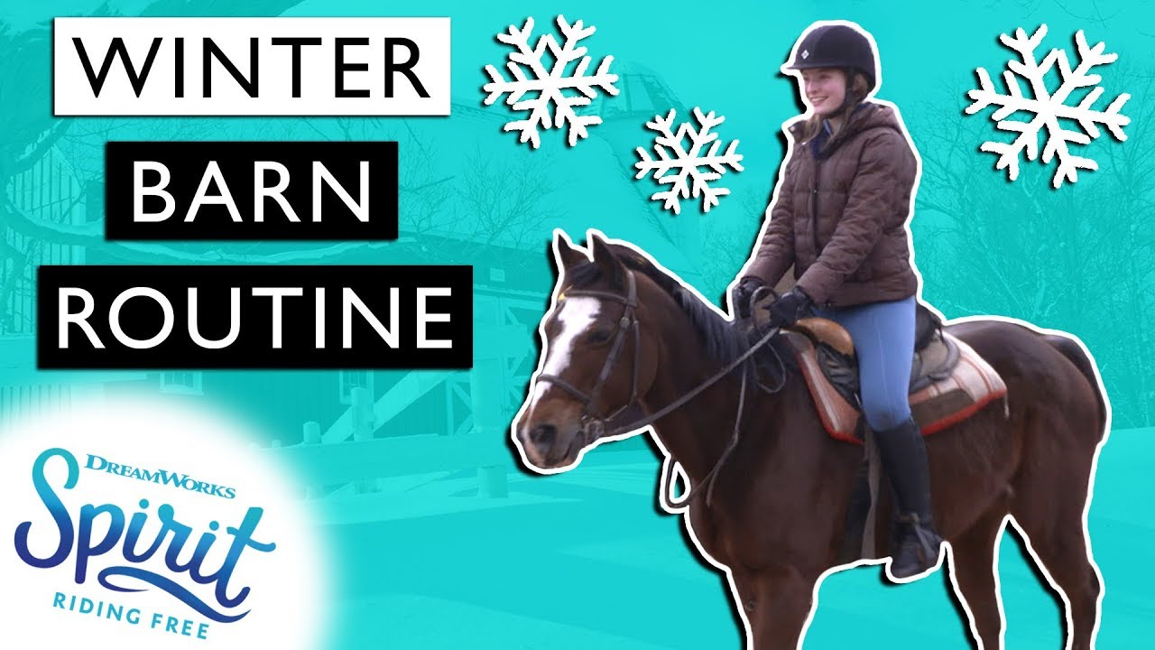 Winter Barn Routine, Tips, & Trail Ride! | THAT'S THE SPIRIT