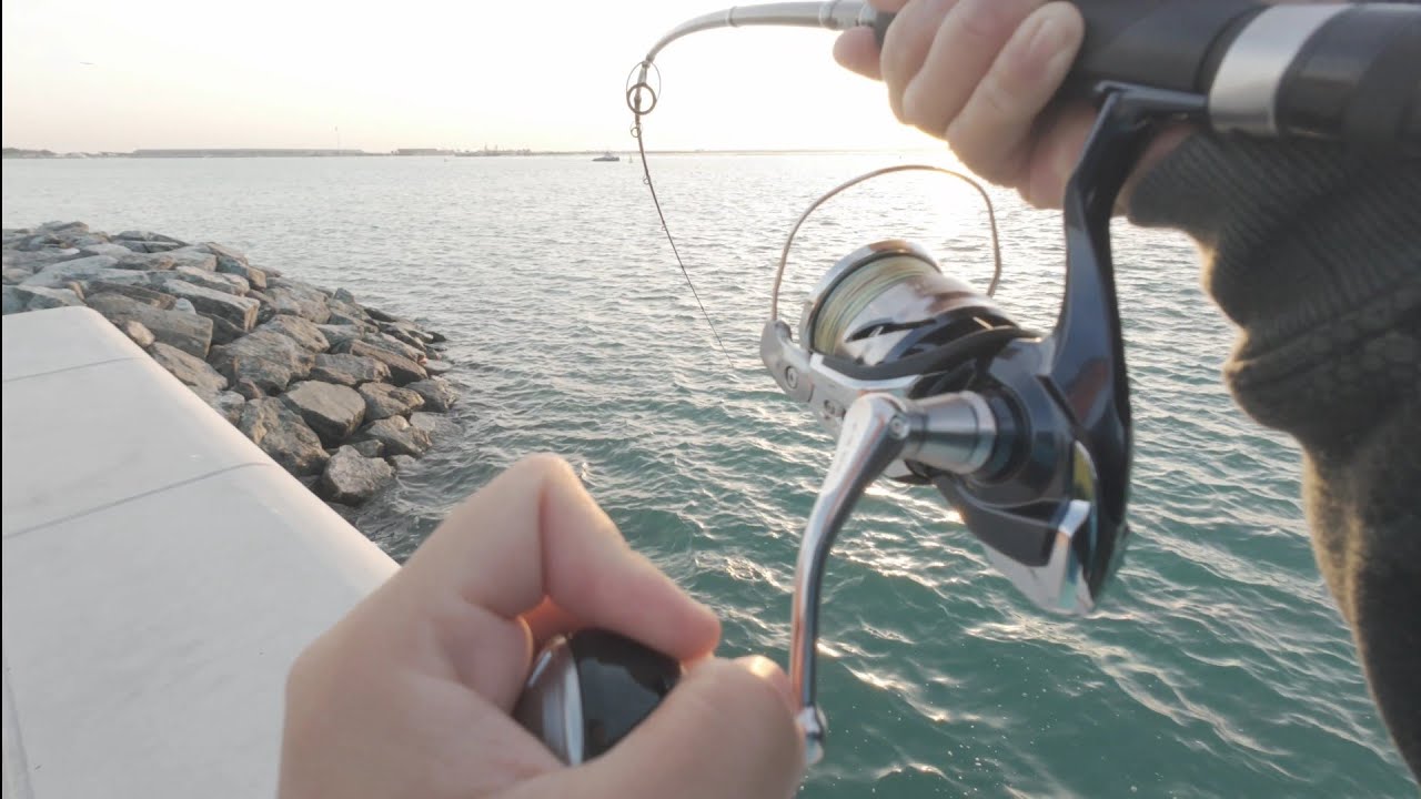 7.6 Kg Grouper on Shimano Twin Power SW
