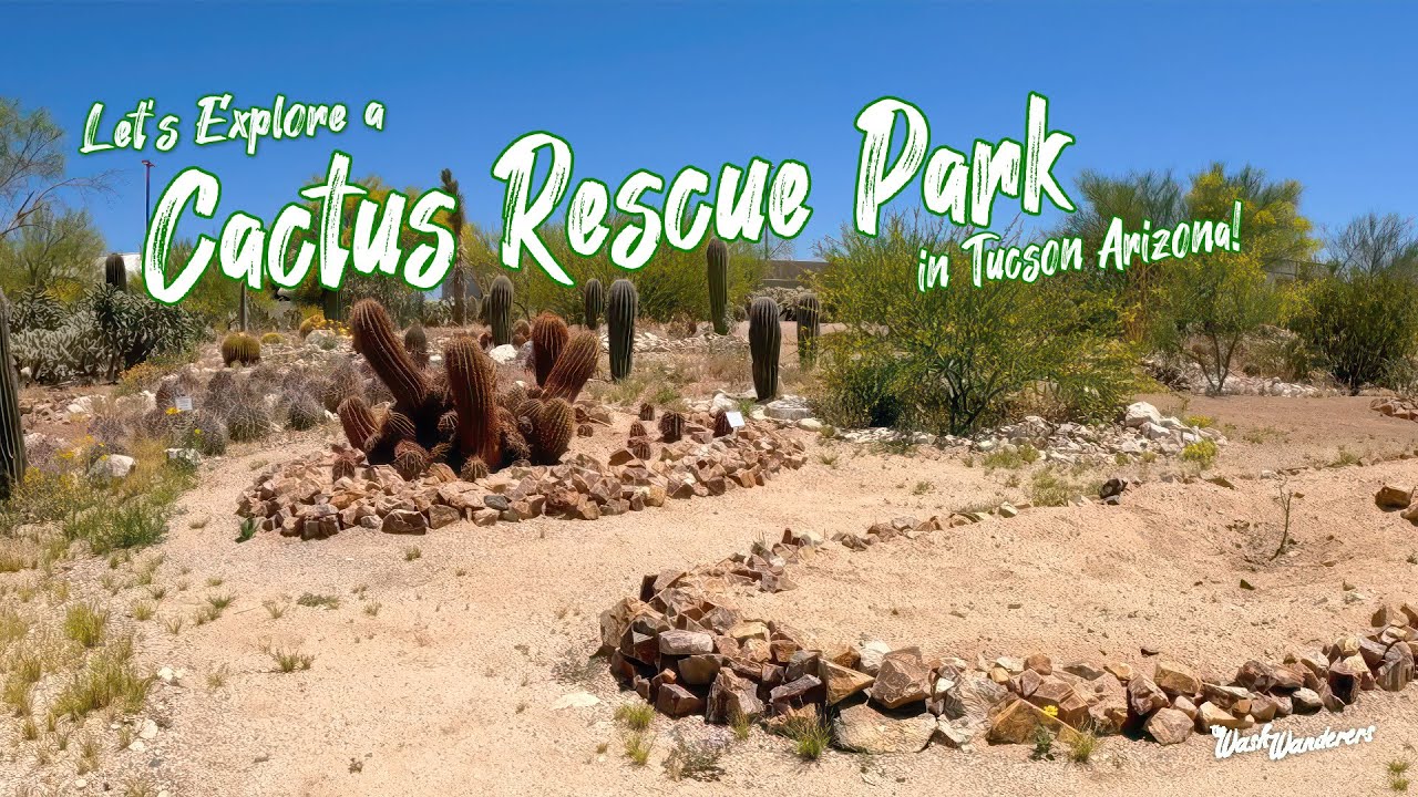 Exploring a Cactus Rescue Park in Tucson!