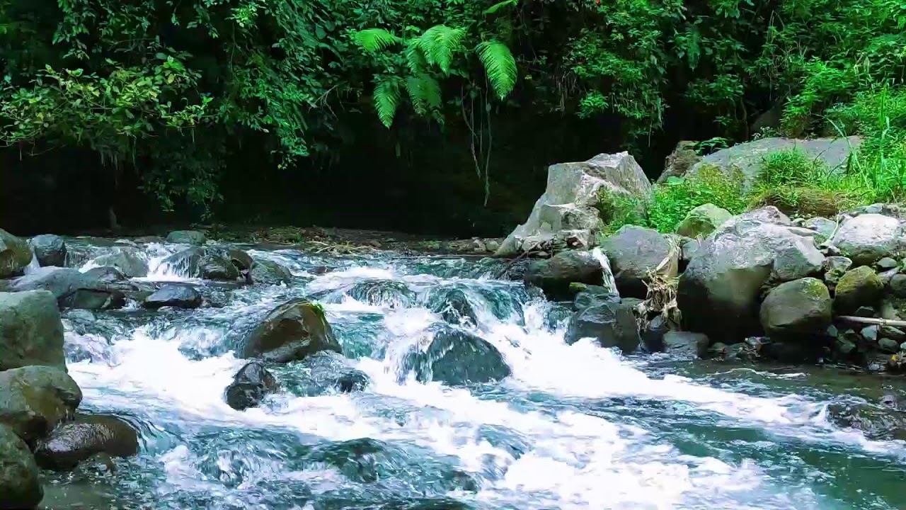Serenity River Sounds  10 Hours Deep Rest  Calm