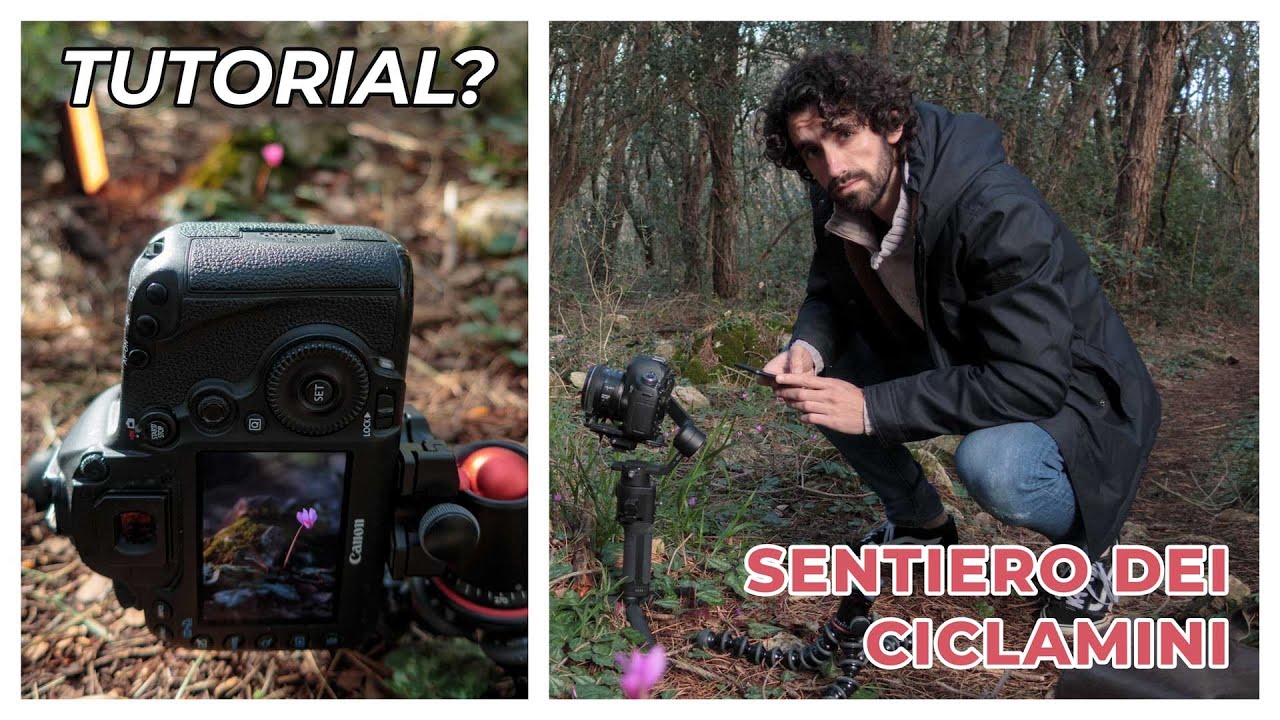 Circeo - sentiero dei ciclamini - #vlog 02