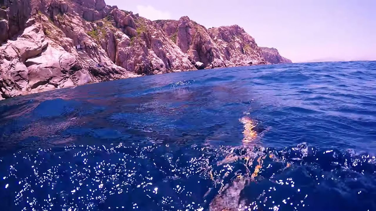spearfishing vietnam 2017