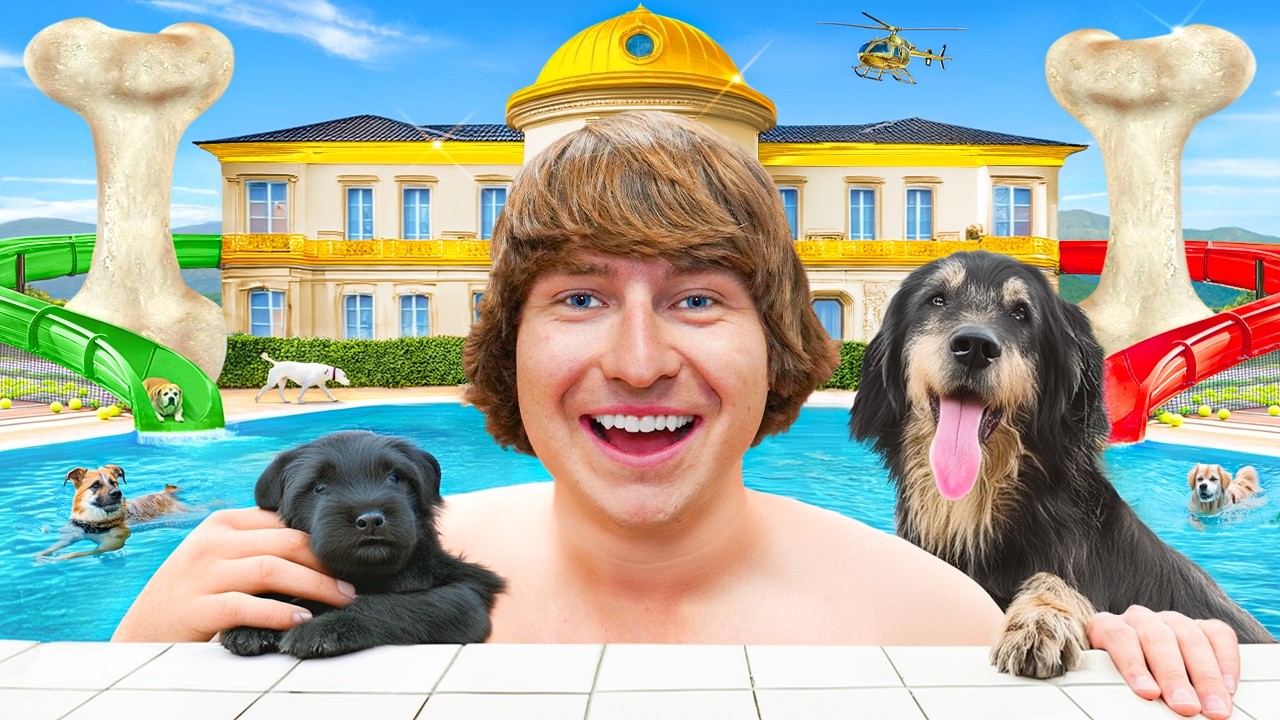 Я построил пятизвездочный отель для собак!