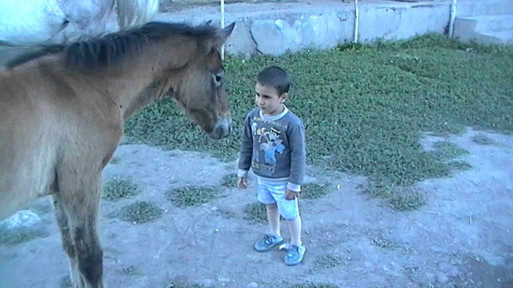 EREQ TAREKAN TXAN EV DZIUK@ :d....