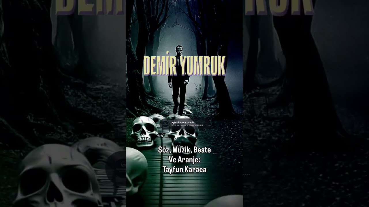 DEMİR YUMRUK