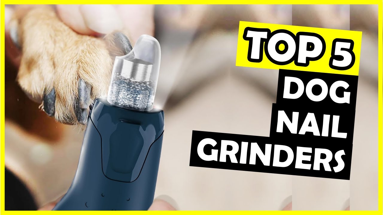 TOP 5: Best Dog Nail Grinder of 2025
