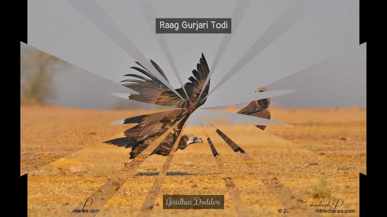 Raag Gurjari Todi on bansuri by Giridhar Dodderi #bansuri #music #raagGurjariTodi #GurjariTodi #Todi