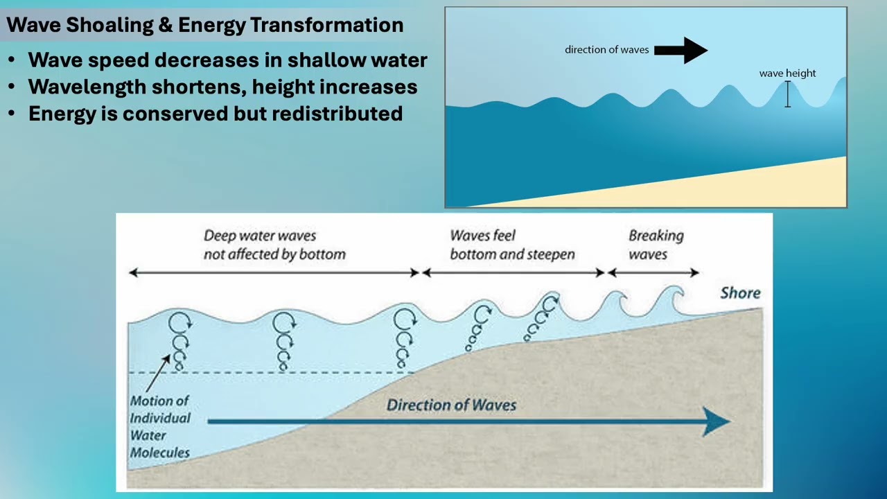 Allman-Goshen-College-Oceanography-L-13: Waves
