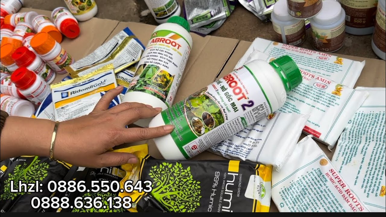 👍🌱. PHÂN THUỐC CHĂM CÂY ĐẸP TO ĐẾ NỞ GỐC HẠN CHẾ HÉO RŨ NGỦ NGÀY HÀNG NHẬP KHẨU 
