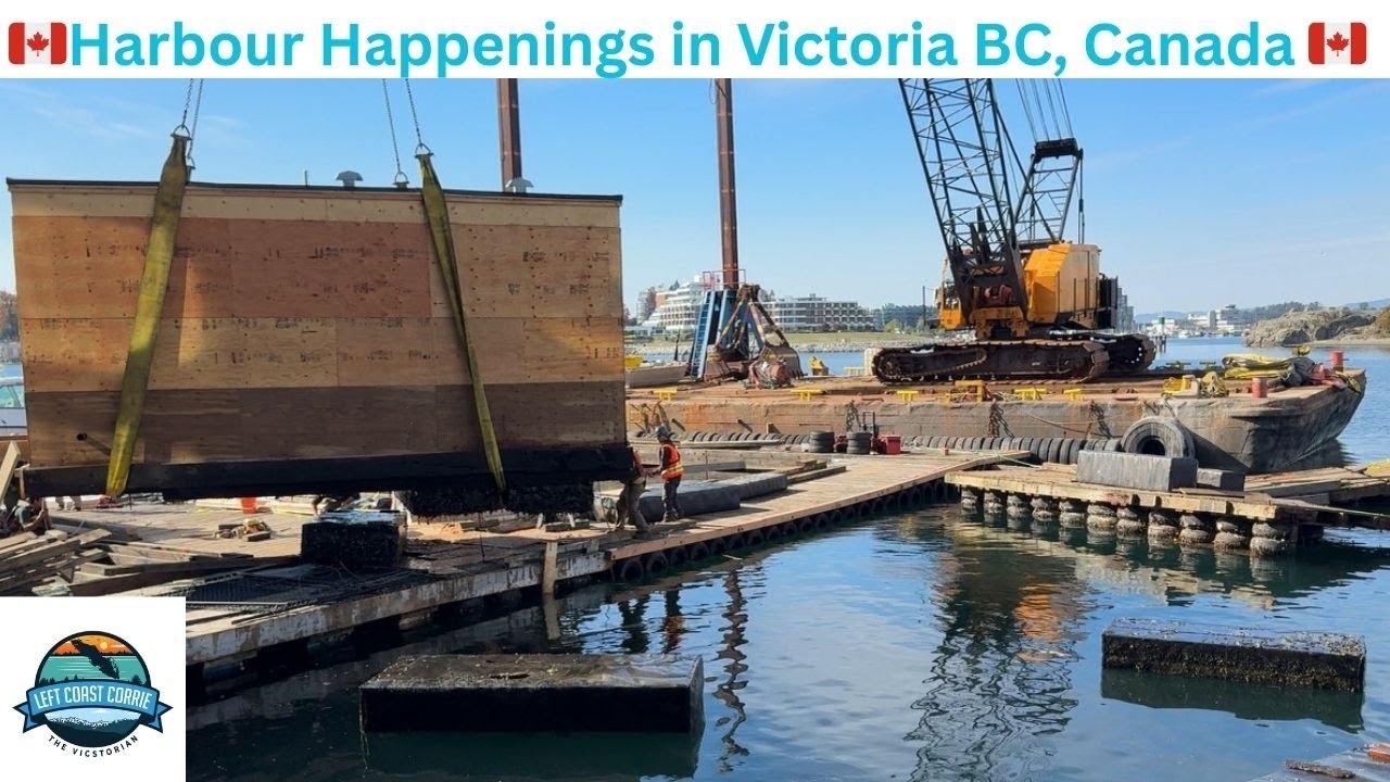 You’ve Never Seen a Crane Lift Like This in Victoria Harbour!