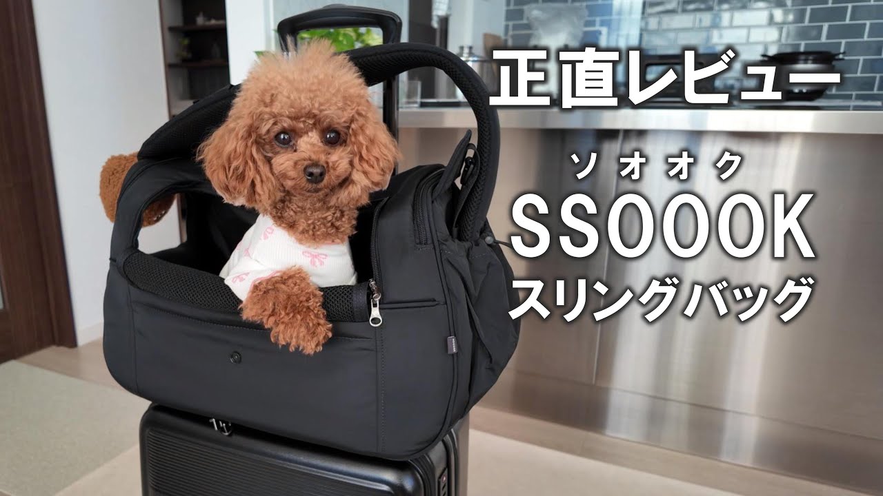 #25 【 正直レビュー 】韓国発！SSOOOKのスリングバッグを使ってみた