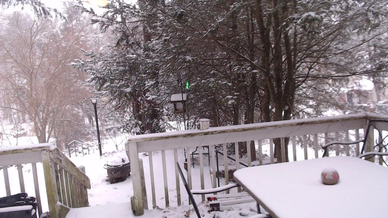LIVE Snow Cam Snowmageddon 2026 Connecticut Winter Storm Benjamin Jan 25 CT