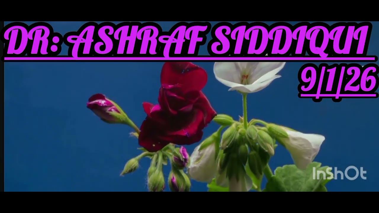 Doctor ashraf Siddiqui online radio