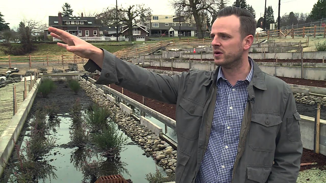 Urban Green - Point Defiance Stormwater Treatment Facility