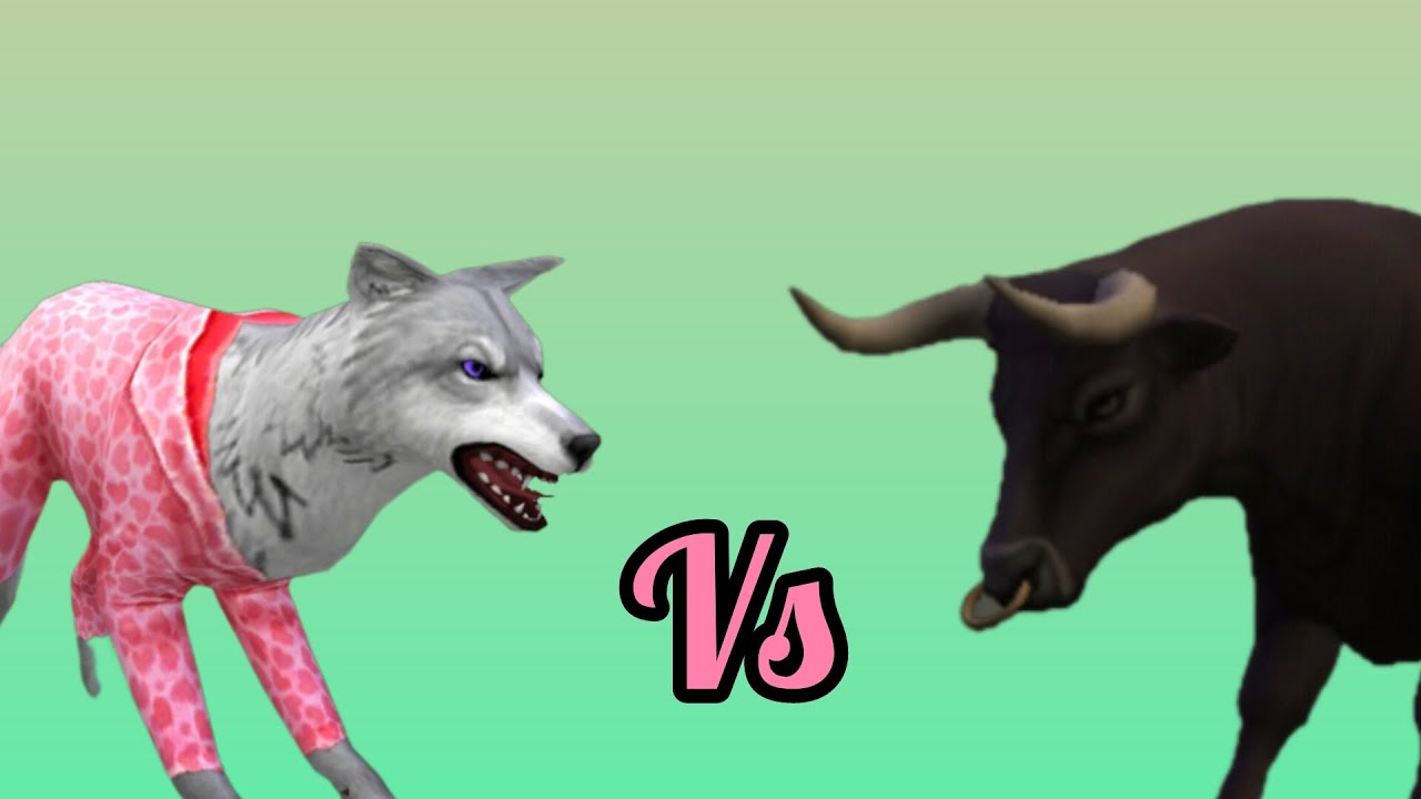 Defeating Furious Bull!/#wildcraft