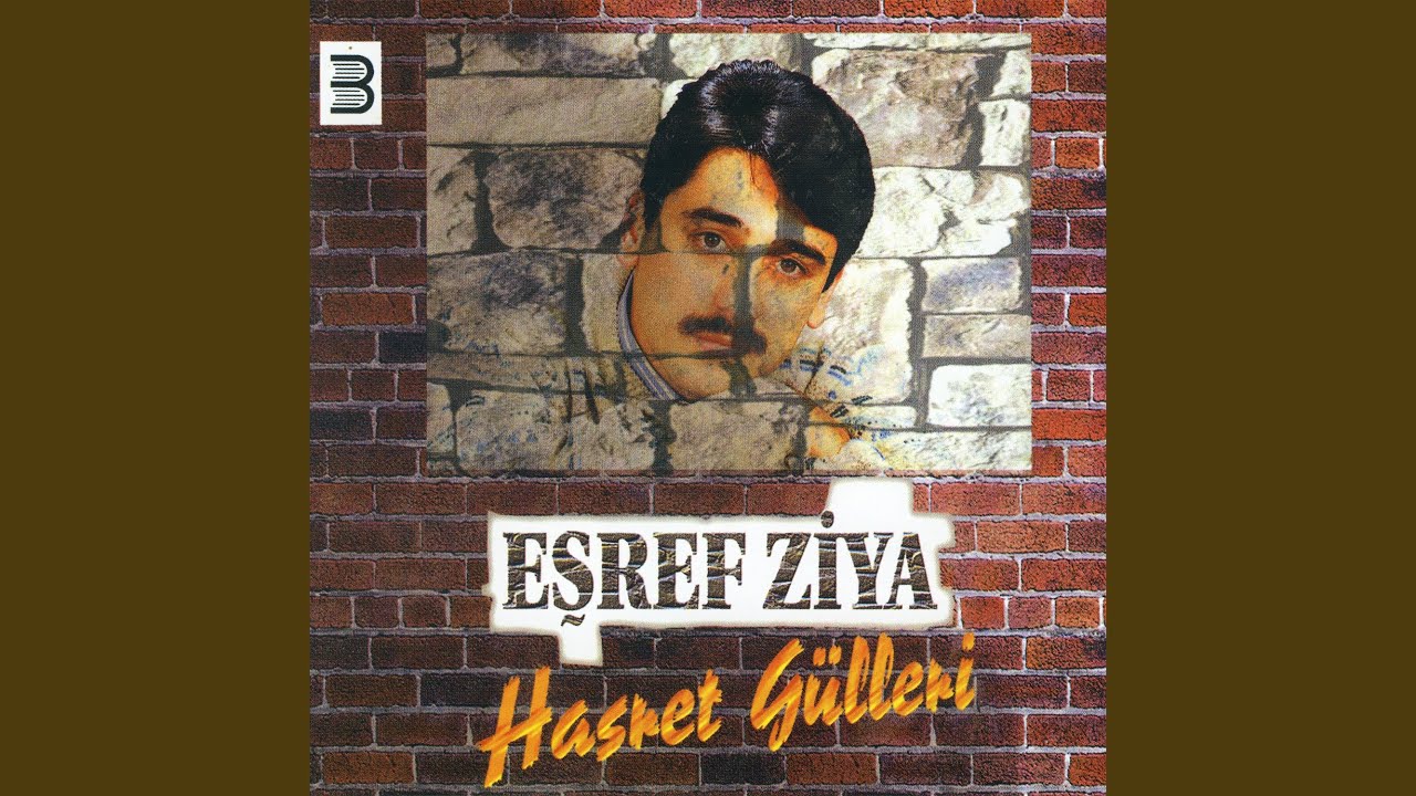 Kelebek Gibi