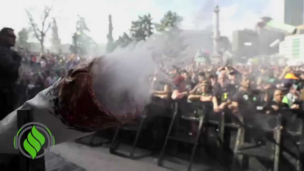 Watch: Legalized It 420 Weekend Teaser!
