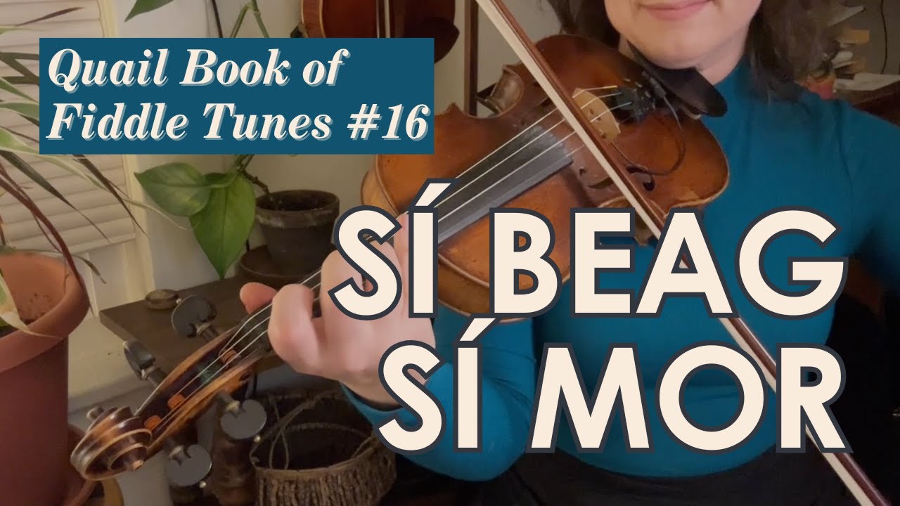 Sí Beag Sí Mor (Sheebeg & Sheemore) - #16 Quail Book of Fiddle Tunes