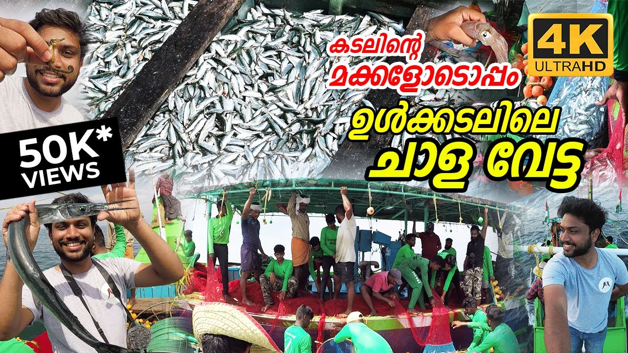 DEEP SEA FISHING | കടലിന്റെ മക്കളോടൊപ്പം ഉൾക്കടലിൽ ചാള വേട്ട | FISHING IN KERALA SEA | media makkani