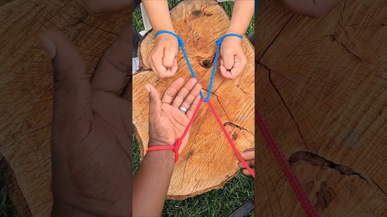 Conhe&ccedil;a esse truque Genial!!  #diy  #truques