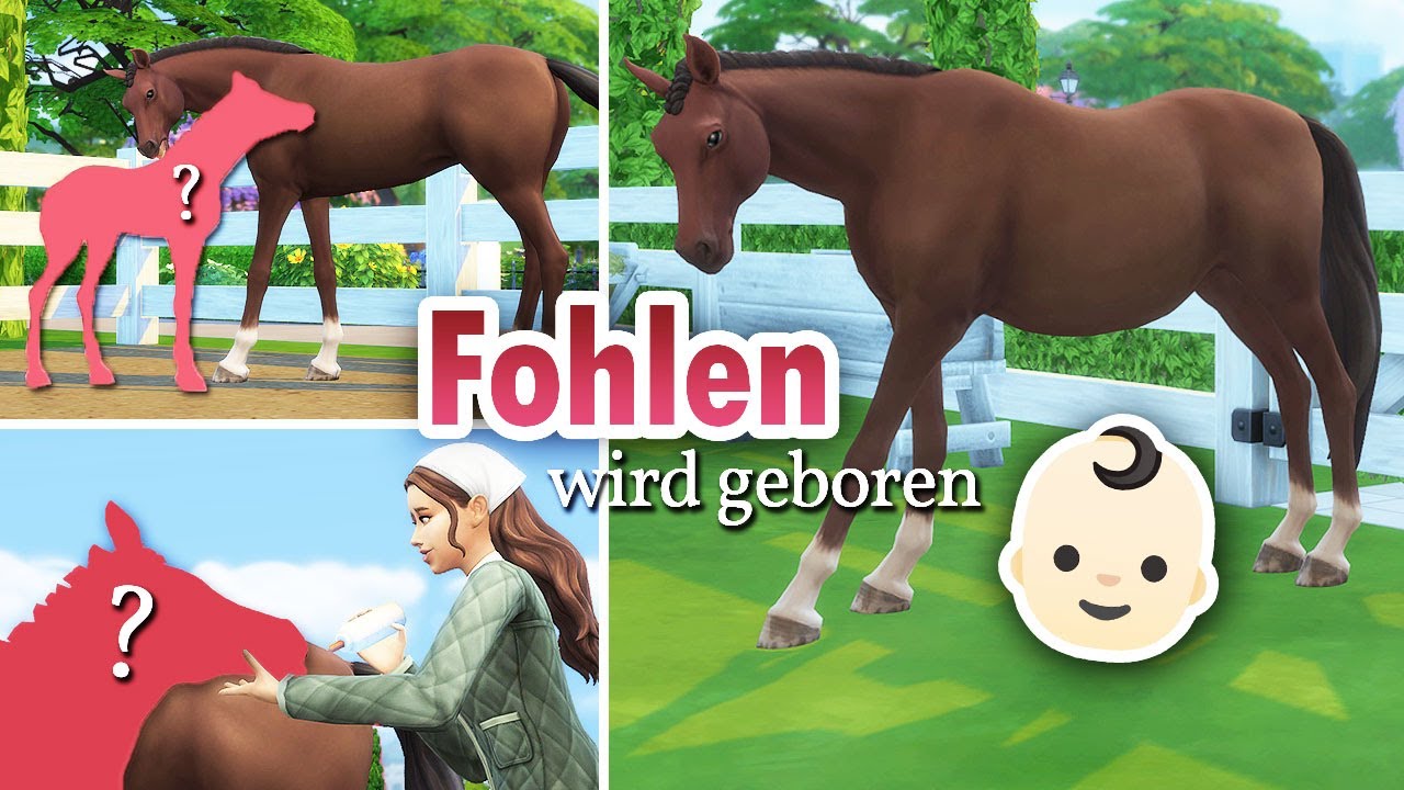 [RRP] OMG! 😍 Fohlen Geburt 👶🏻 Sims 4 💕 Pferderanch