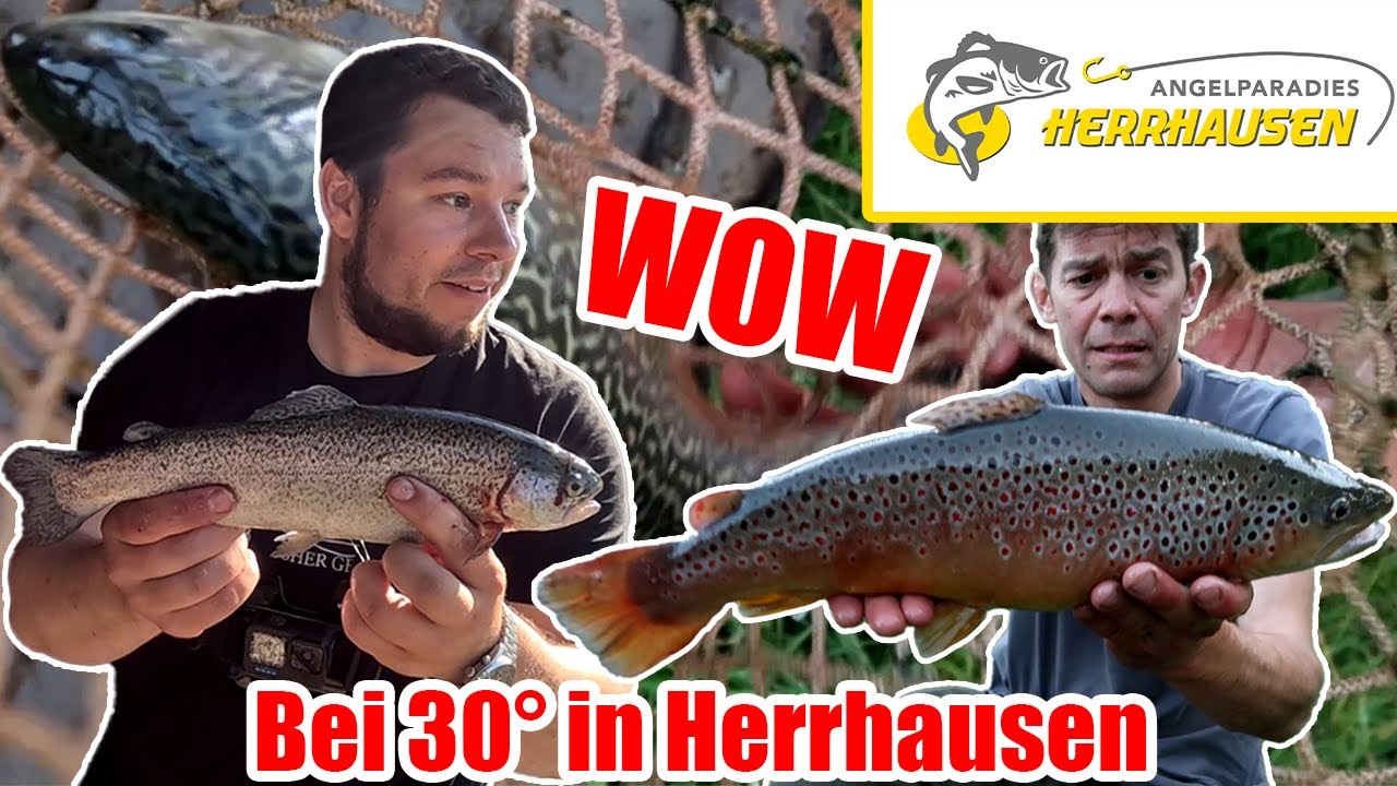 Forellenangeln im Hochsommer mit @Trout Fisher Germanyund es knallt bei30° im Angelparadies Herrhausen