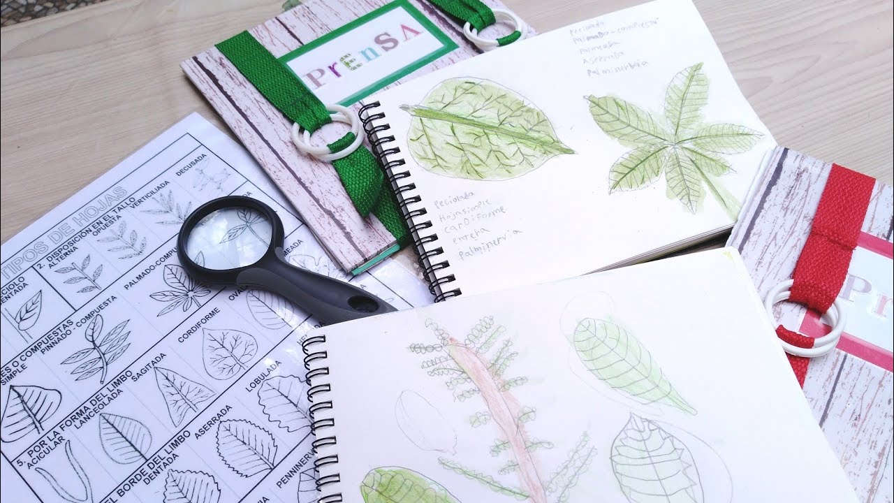 Exploración de la naturaleza | Libreta de campo