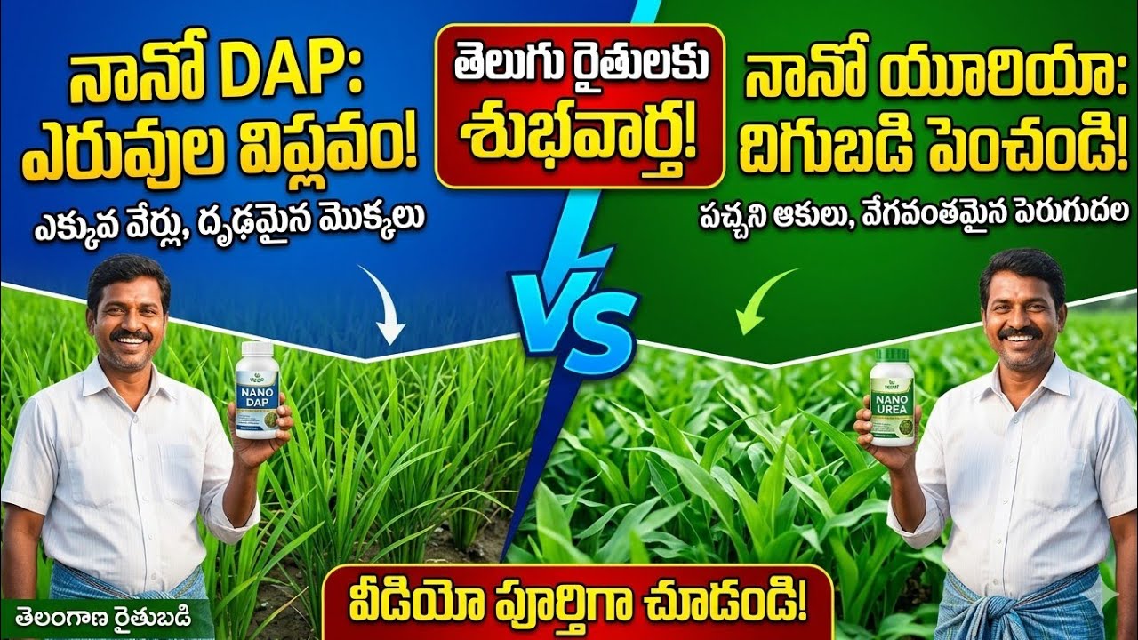 #NANOUREA #NANODAP#liquidfertilizer#nano#nanotechnology #tsfarmers#apfarmers#jaikisan#kisan