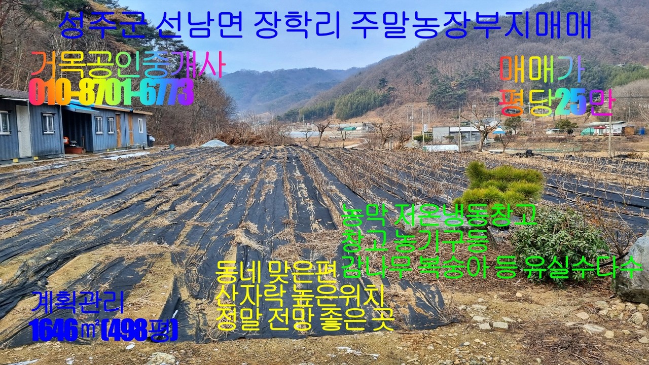 성주군주말농장부지매매.선남면주말농장부지매매.선남면휴게쉼터부지매매.성주군선남면장학리주말농장겸휴게쉼터부지매매.계획관리지역1646㎡(498평)