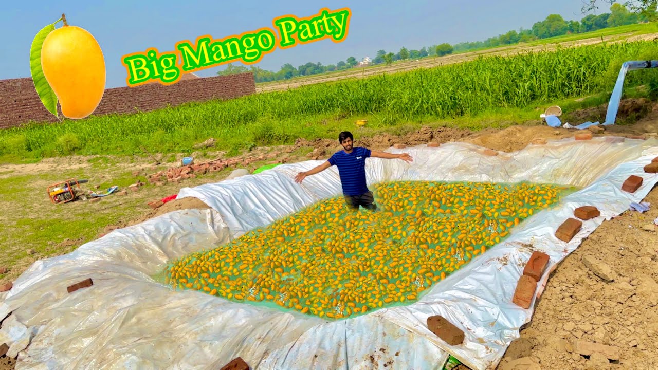 Swimming Pool Mango Se Bhar Diya 😍