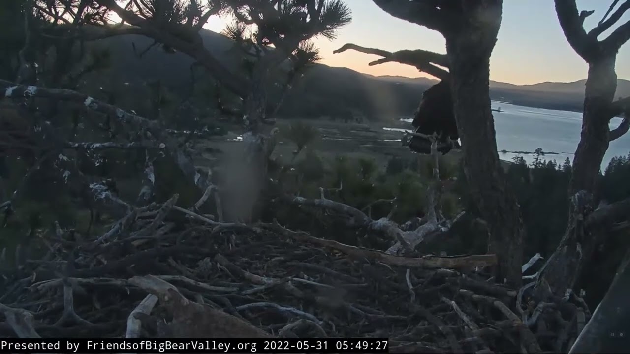 5-31-2022 Spirit Has Left The Nest!