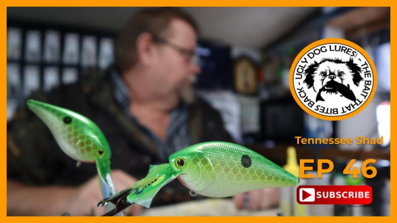 5 colored fishing lure painted with an airbrush
