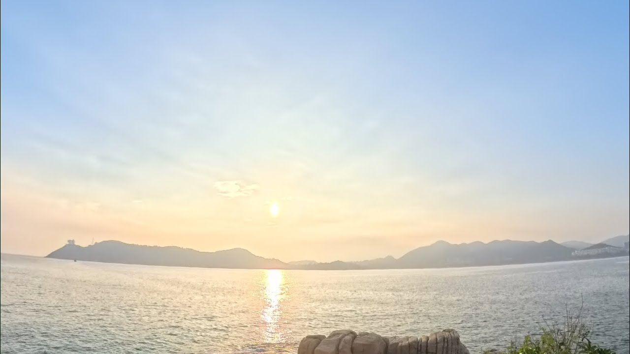 The 