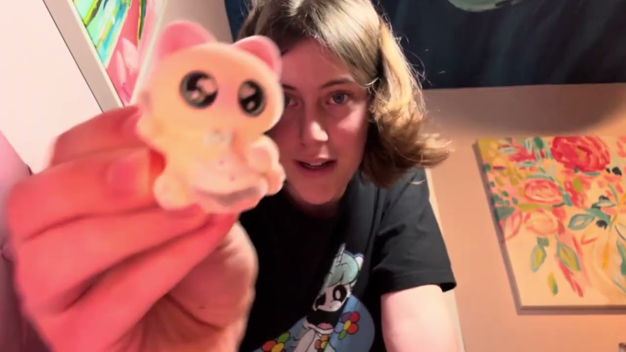 Cute Pusheen Plush & Mystery Box Unboxing! 🐱🎮💖
